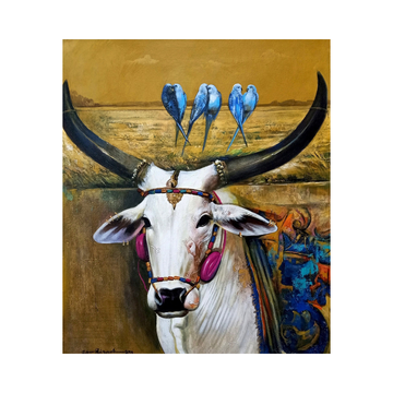 The Bulls Of Tradition P-14